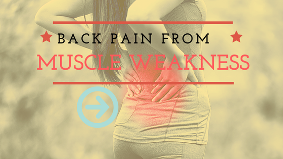 Weak back online muscles