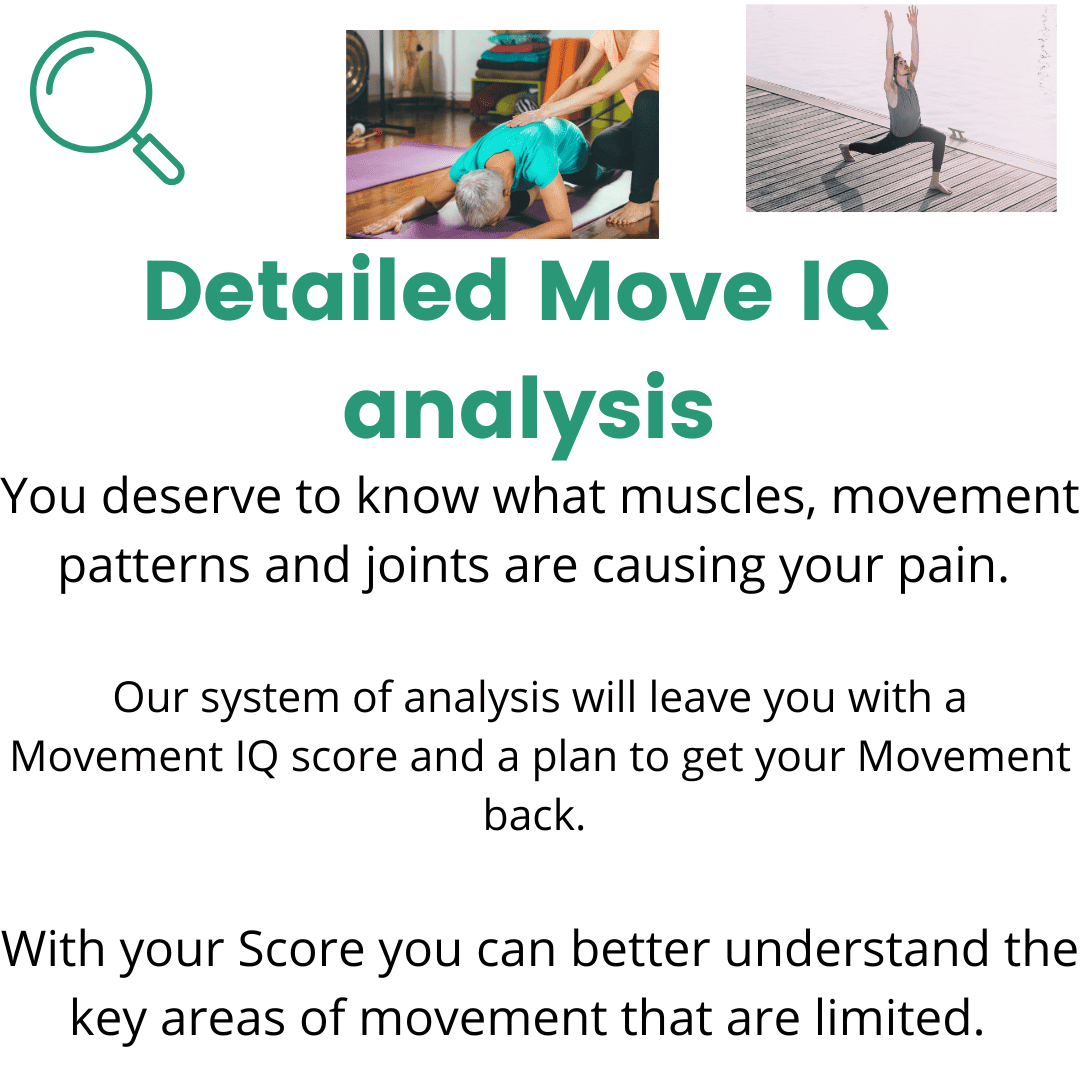 If you have wondered about your Myofascial system, our Move IQ can tell you what muscles and joints are your issue. 