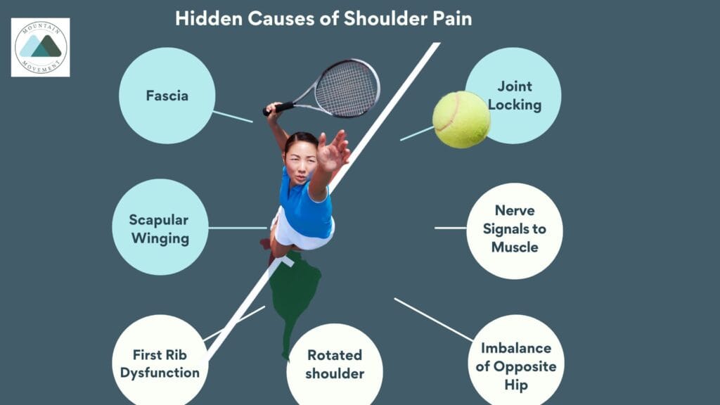 This image describes the hidden causes of Shoulder pain in the average athlete.  Using Sports Analsyis we can diagnose muscle imbalance, joint imbalance, and inflammation. 